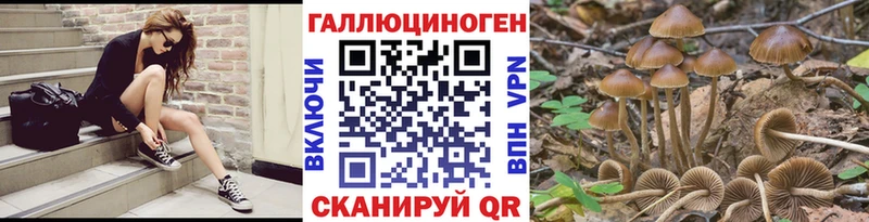 Галлюциногенные грибы Psilocybine cubensis  MEGA маркетплейс  Волоколамск 