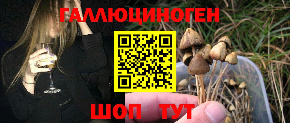 Псилоцибиновые грибы мухоморы Волоколамск
